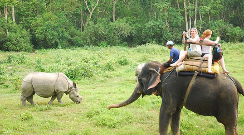 jungle-safari-in-chitwan-nepal1508751184